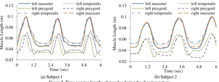 Figure 5. Time-varying lengths of muscles during the chewing pattern  0.06 0.07 0.08 0.09-0.0100.01-0.08-0.07-0.06-0.05-0.04x (m)y (m)z (m)0.020.040.060.080.10.1201.22.43.64.86Muscle Length (m) Time (sec) 