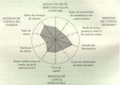 Figura 2.7: Navegador do Capital Intelectual  onte: Stewart (1998, p. 219) 