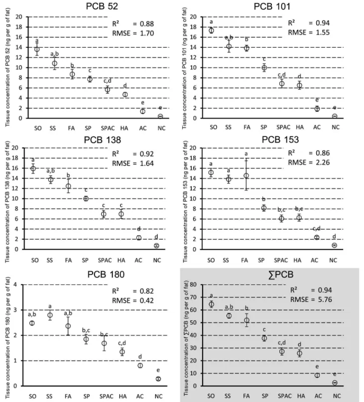 Fig. 2. Concentrations (ng.g 21 of fat) of NDL-PCBs in adipose tissue. Each value represents the adjusted mean ¡ standard error