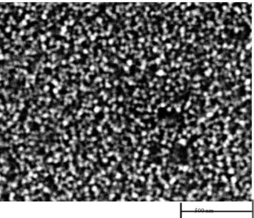 Fig. 3 – SEM image of ZnO thin films annealed at 450 C 