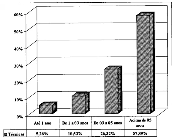 Gráfico   3.10—   Periodo  de  atuação  das  técnicas  na atividade  contábil  Fonte: dados pesquisados 