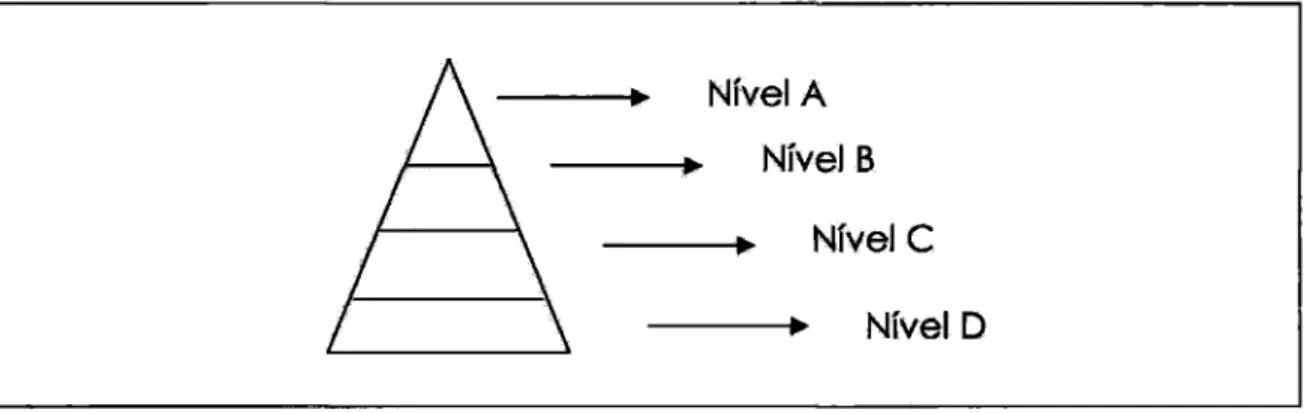 FIGURA  2—   Pirâmide   de   Evolução   do PBQP-H  Fonte: Do autor (2005). 