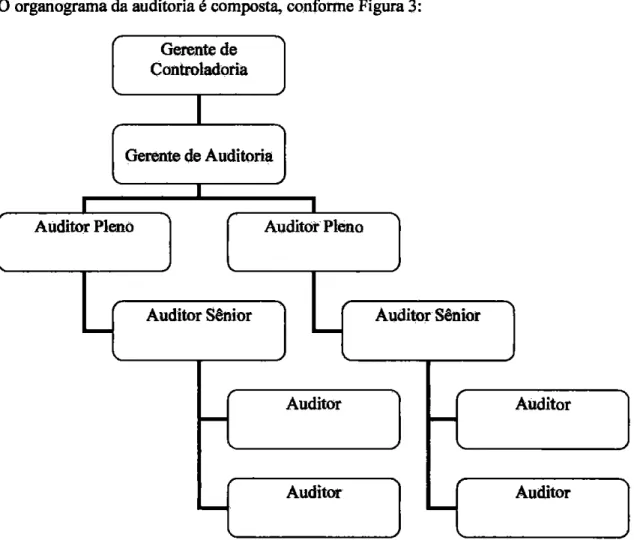 Figura 3:  Organograma da equipe de auditoria da empress em estudo. 
