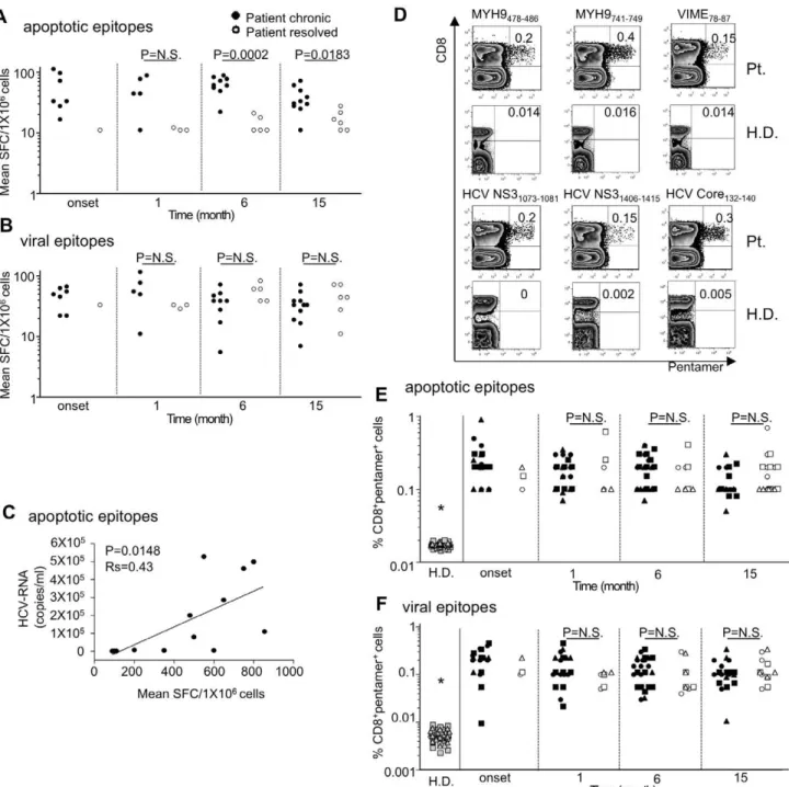 Figure 1. CD8 + T cell multispecificity to apoptotic epitopes in chronic HCV progression
