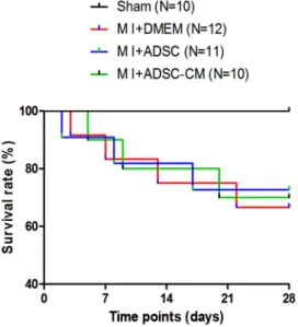 Figure 3. Infarct size in MI mice after treatment with ADSC or ADSC-CM. A: Representative images of TTC-stained heart sections obtained from Sham, MI+DMEM, MI+ADSC, and MI+ADSC-CM groups at 4 weeks post-transplantation