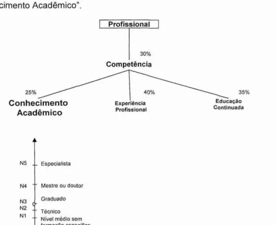 Figura 8 - Representação do descritor &#34;Conhecimento Acadêmico&#34; 