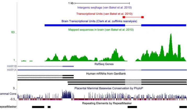 Figure 2. Poor coverage of single intron transcriptional units (TUs) by van Bakel et al
