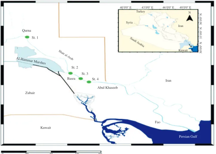 Figure 1. Map of Shatt al-Arab River showing the four sampling stations.