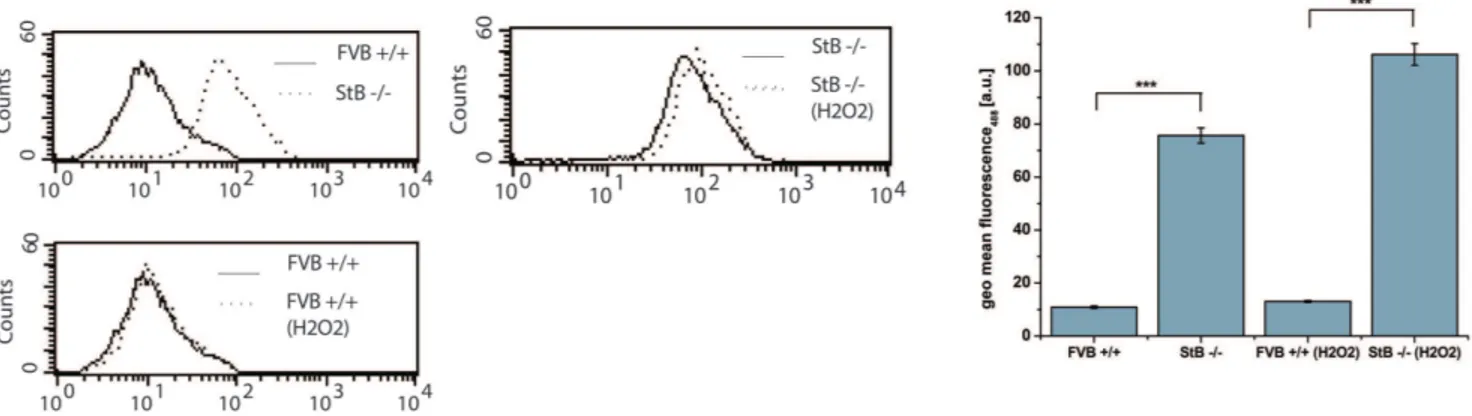 Figure 2. Shift in Bodipy 581/591 C 11 fluorescence measured by flow cytometer. Bodipy 581/591 C 11 was excited using a 488 nm Ar-laser and detected on a FL1 photodetector (515,545 nm) on flow cytometer