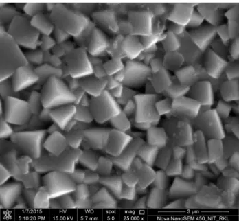 Figure 3. FESEM micrograph of the BNT-KNN ceramic samples