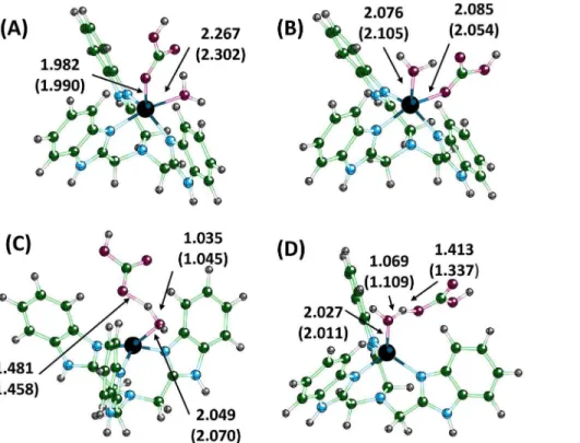 Figure 8. Calculated transition state structures (TS3) for displacement of bicarbonate by a water molecule for N3-Zn (A), N4-Zn (B), and Ph-Zn (C)