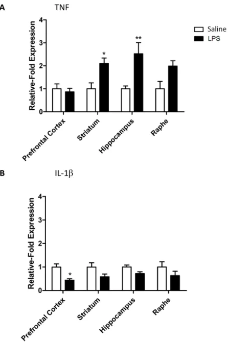 Fig 3. Cytokine mRNA expression in the CNS 24 hours after an LPS challenge. (A) TNF and (B) IL-1β transporter mRNA levels expressed as relative-fold expression compared to saline controls within each region