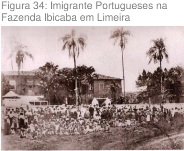 Figura 33: Escravos na Fazenda Ibicaba  Figura 34: Imigrante Portugueses na  