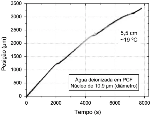 Figura 4.9 – Evaporação em PCF medida com OCT.