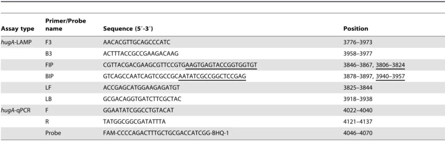 Table 2. LAMP and qPCR primers used in this study to detect P. shigelloides.