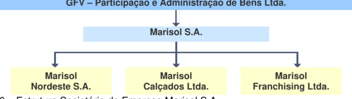 Figura 6 – Estrutura Societária da Empresa Marisol S.A. 