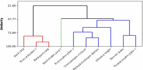 Figure 1. Dendrogram of cluster analysis to classify variables based on ward’s method 
