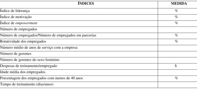 Tabela 5: índices do foco humano: índices gerais  Fonte: extraído de Evinsson &amp; Malone (1998, p