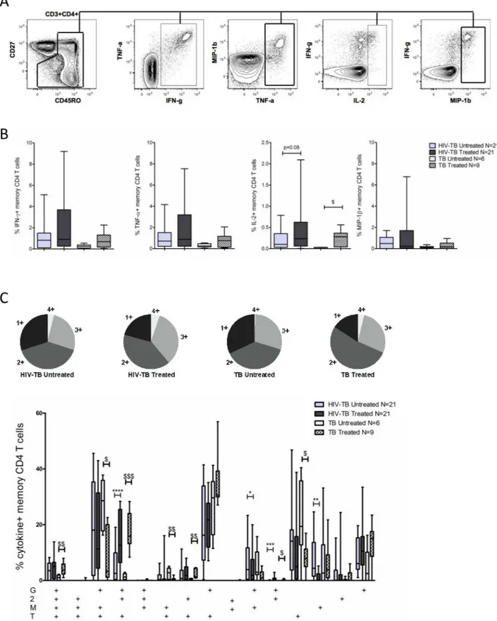 Fig 1. TB therapy alters the functional profile of PPD-specific CD4 T-cells. A. Representative plot showing the gating scheme used to identify cytokine/chemokine positive cells