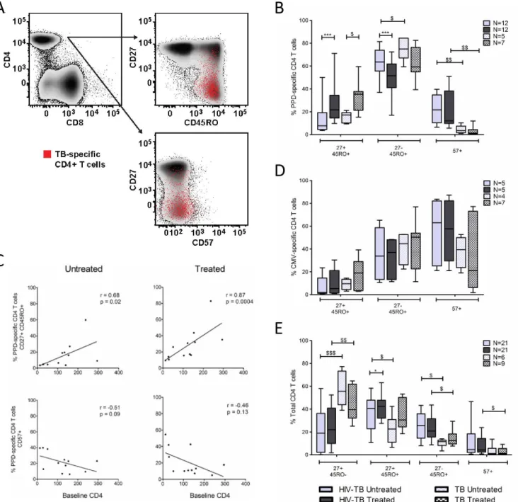 Fig 2. TB therapy alters maturation phenotype of PPD-specific CD4 T-cells. A. Representative example of differentiation marker expression on PPD-specific CD4 T-cells