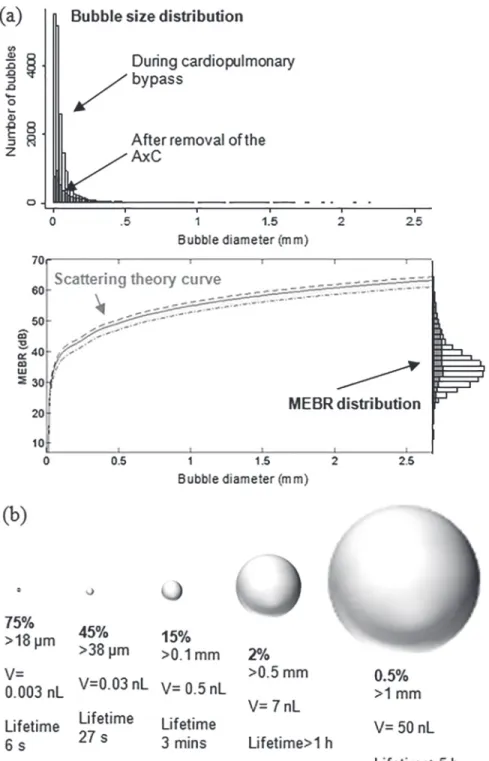 Fig 2. Estimated distribution of bubble sizes detected during cardiac surgery. (a) Distribution of bubble sizes estimated based on analysis of the ultrasound backscatter (MEBR values) from 18667 embolic signals.