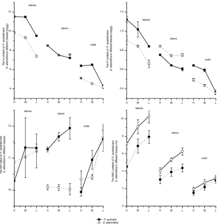 Figure 7. The physiological characteristics of P. australis and S. alterniflora along different tidal gradient