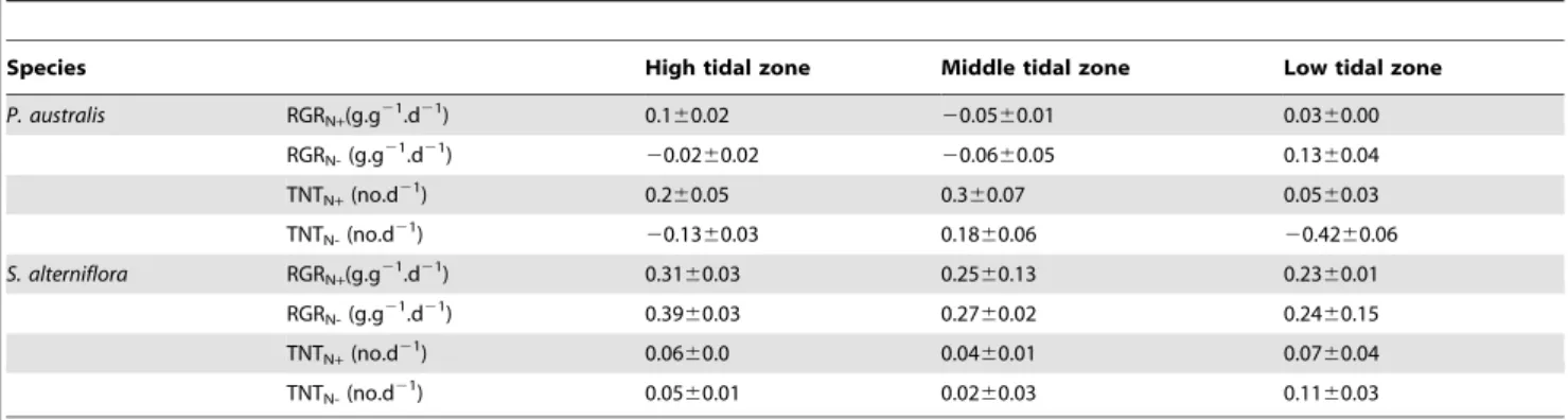 Figure 3. The relative neighbor effect (RNE) of P. australis and S. alterniflora in different tidal zones