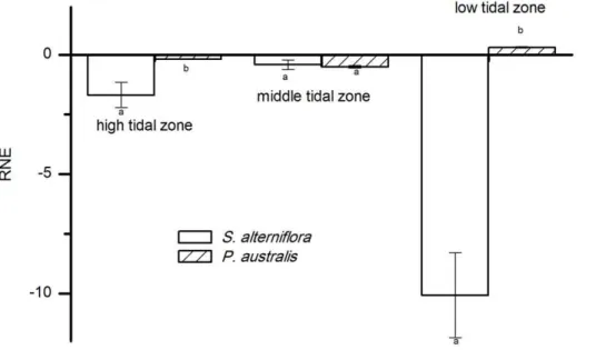 Figure 4. The relative neighbor effect (RNE) of P. australis and S. alterniflora in different tidal zones