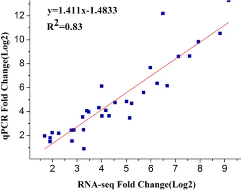 Fig 5. Scatter plot of 16 selected genes based on fold change measured by RNA-seq and by qRT-PCR analysis