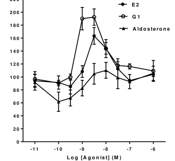 Fig 1. Effect of 17β-Estradiol, Aldosterone and G1 on basal forskolin-stimulated cAMP levels in mHippoE-18 cells