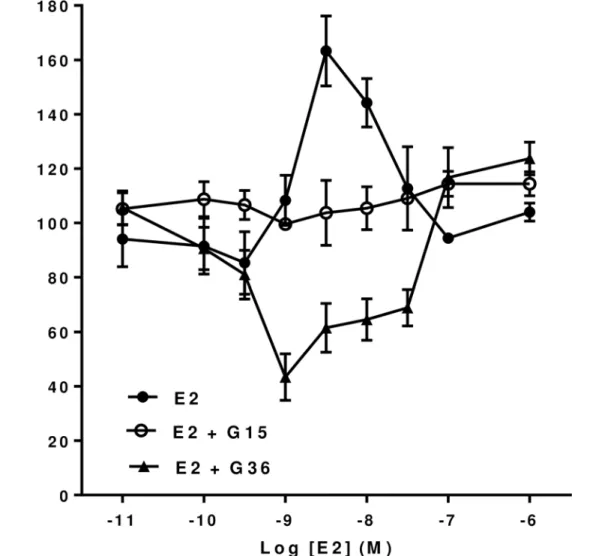Fig 4. Effect of the GPER antagonists G15 and G16 on 17β-Estradiol (E2) forskolin-stimulated cAMP levels in mHippoE-18 cells