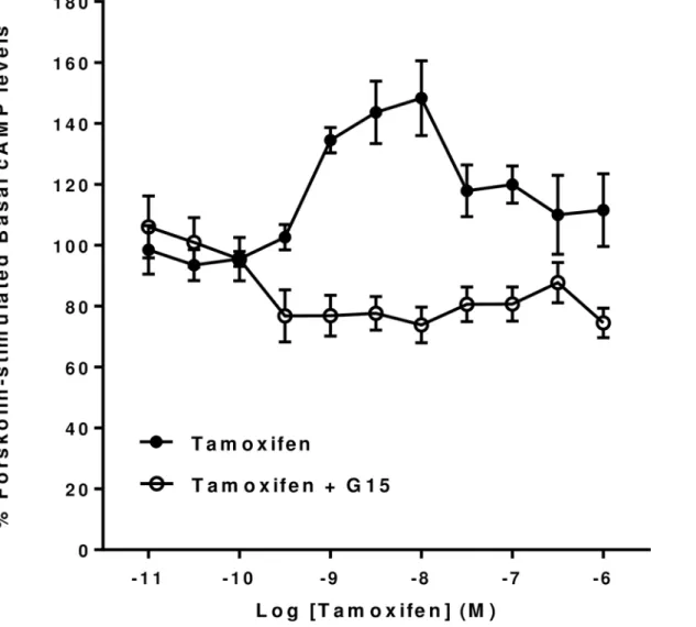Fig 6. Effect of the GPER antagonist G15 on Tamoxifen forskolin-stimulated cAMP levels in mHippoE-18 cells
