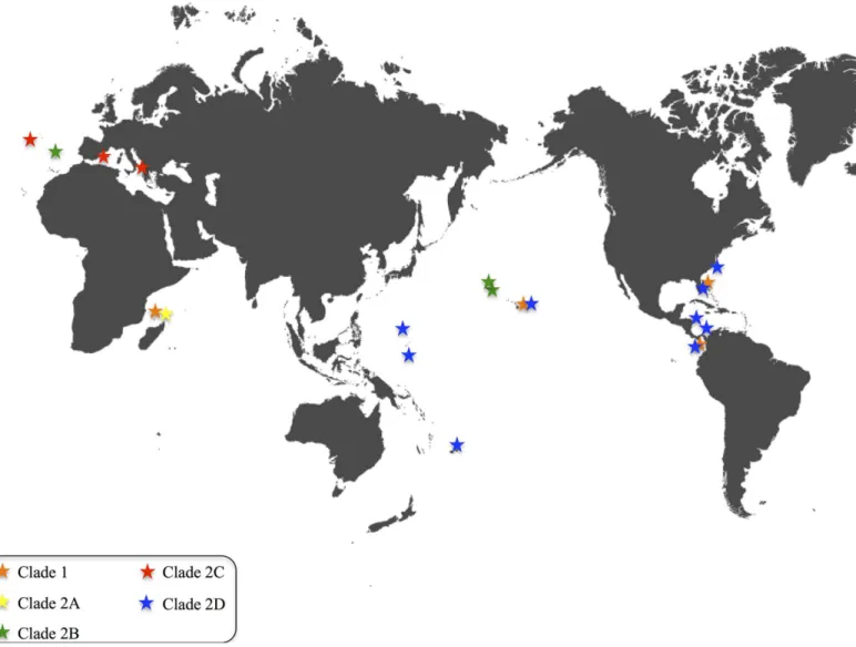 Fig 1. World map showing the distribution of the five Pennaria disticha clades, color coded as in Fig 2.