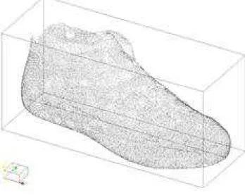 Fig 4: The copied shape as a point cloud 