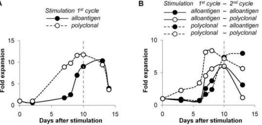 Figure 6. Determination of optimal length of primary and secondary Treg expansion cycles