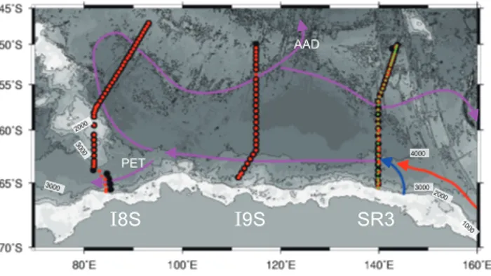 Fig. 1. Locations of the WOCE WHP (black circles) and their repeat (red and green circles) meridional hydrographic sections crossing the Australian-Antarctic Basin with schematic view of spreading path of the AABW