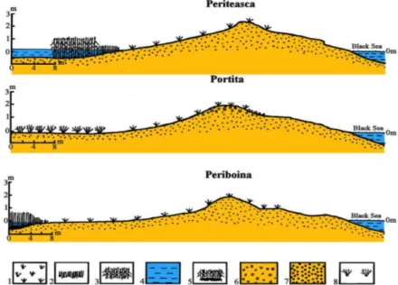 Fig. 5. Synthetic profiles in the Razim-Sinoie barrier spit (Periteasca, Portita, Periboina): 