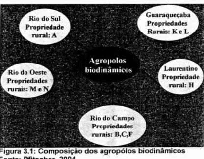 Figura  3.1:  Composição   dos  agropólos biodinâmicos  Fonte:  Pfitscher, 2004 