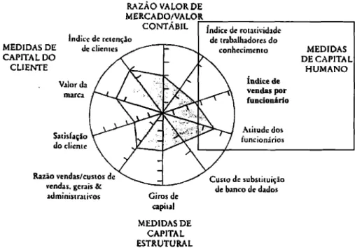 Figura 4:  Exemplo de um Navegador do  Capital Intelectual  Fonte: Stewart  (1998,  P