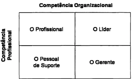 Figura  8:  As quatro  categorias  de pessoal nas  organizações  do conhecimento  Fonte:  Sveiby (1998, p
