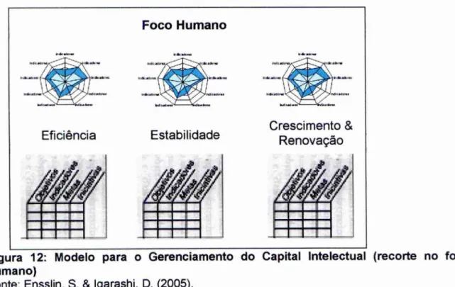 Figura  12:  Modelo para  o  Gerenciamento  do Capital  Intelectual  (recorte no foco  humano) 