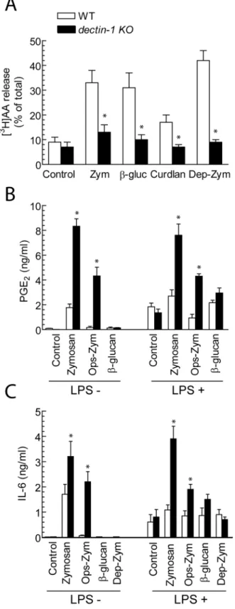 Figure 7. Effect of clec7a deletion on the response to b-glucans.