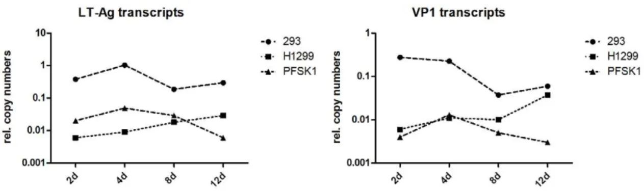 Figure 6. Real-time PCR to quantify early and late gene transcripts in cells transfected with MCVSyn
