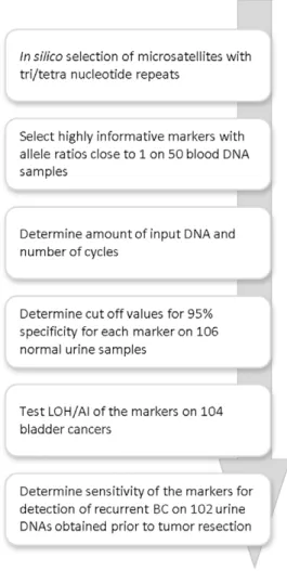 Figure 1. Flow chart of the study.