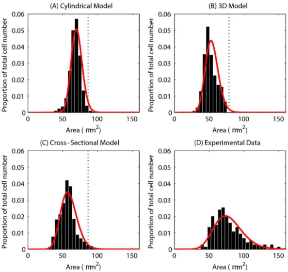 Figure 4.  Epithelial cell size for each of the computational models.  (A) - (C) The epithelial cell area distribution for each model – the red curve marks the fitted Gamma distribution in each case