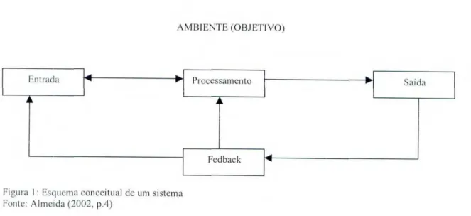 Figura I: Esquema conceitual de um sistema  Fonte: Almeida (2002, p.4) 