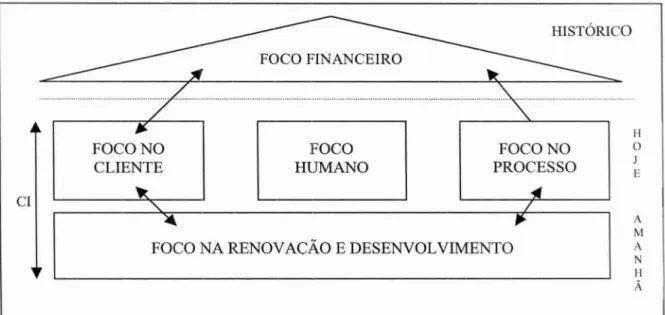 Figura  1 —  Navegador de capital intelectual 