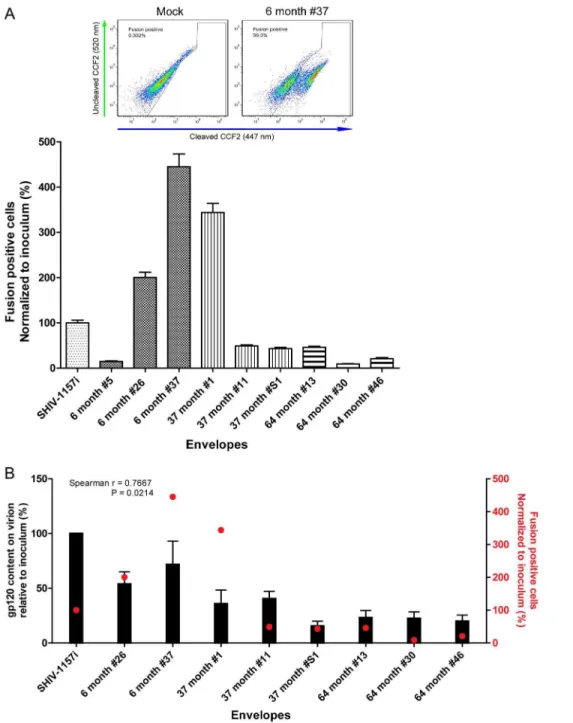 Figure 5. Envelope fusion with target cells was measured using FRET-based virus-to-cell fusion assay