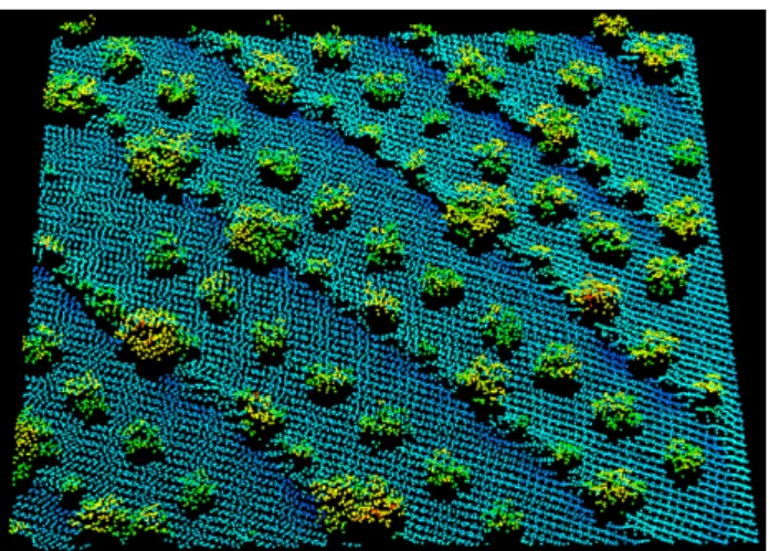 Figure 1. Plot of ALS point cloud of a part of the study area  For  this  study,  we  used  the  airborne  laser  scanning  data  collected  in  September  2012  with  Leica  ALS50&amp;II  instrument,  with 1500 m of average flight height