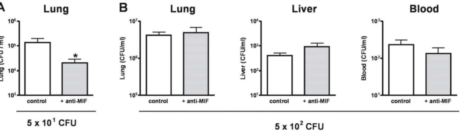 Figure 6. Effect of anti-MIF treatment on bacterial clearance is dependent on the inoculum size